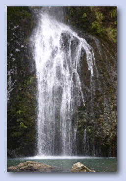 Picture of water fall in Waitakere Ranges Auckland