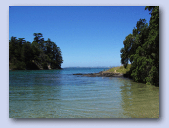 Beach at Leigh Harbour, Auckland