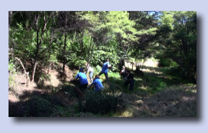 Leigh Working Bee with BNZ workers