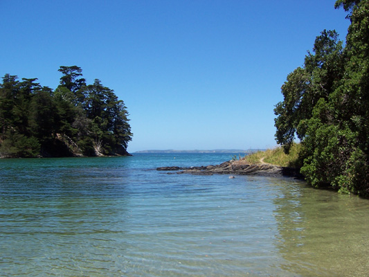 Photo of beach in Leigh Harbour Auckland NZ